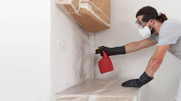 Professional Mold Removal technician working in Naperville, IL