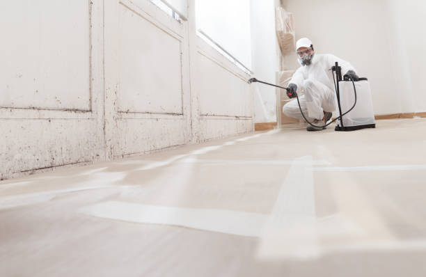 24/7 Emergency Mold Removal experts in Naperville, IL