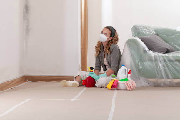 Reliable Mold Removal contractor in Naperville, IL by Car Mold Remediation